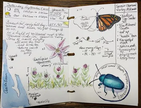 What is Nature Journaling? — Wild Wonder Foundation