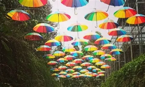 Menemukan Keindahan Alam dan Rekreasi Seru di Taman Botani Sukorambi ...