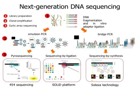 Sequencing Dna DNA Sequencing — Science Learning Hub