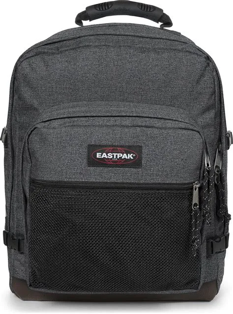 Amazon.com: Eastpak PINNACLE : Electronics