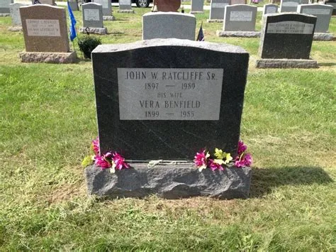 Characteristics of C. inophyllum L. seeds | Download Scientific Diagram