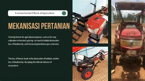 promosi SMKN 1 Kintap Jurusan agribisnis tanaman (1).pptx