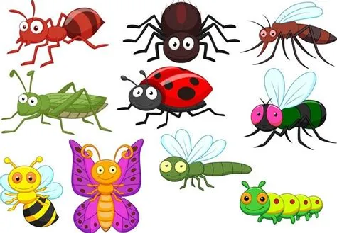 Wall Mural Insect cartoon collection set - PIXERS.US | Insect clipart ...