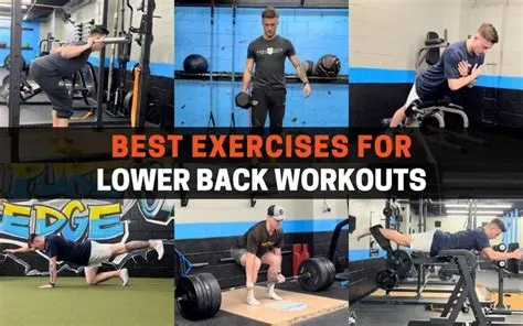 9 Best Exercises for Lower Back Workouts | PowerliftingTechnique.com
