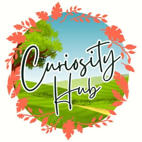 Curiosity Hub | Teachers Pay Teachers