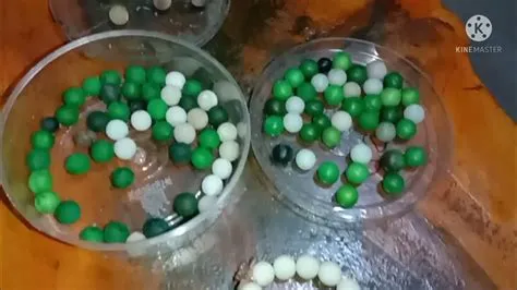 Manfaat dan khasiat Pohon Gebang atau Pohon Gewang, lagi firal biji ...