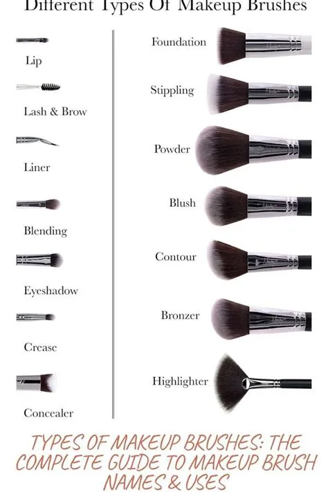 Types of Makeup Brushes: The Complete Guide