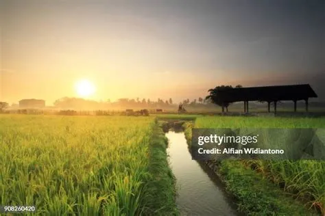 Jember Regency East Java Photos and Premium High Res Pictures - Getty ...