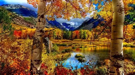 Fall Backgrounds For Computer