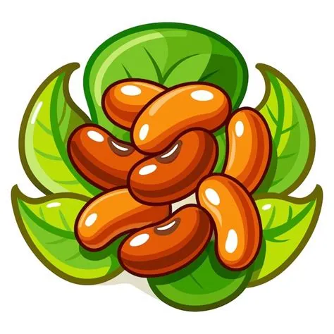 Premium Vector | Beans clipart cartoon style vector illustration