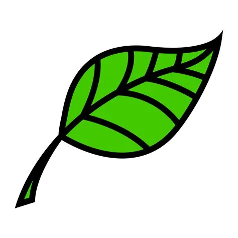 Icon Leaf