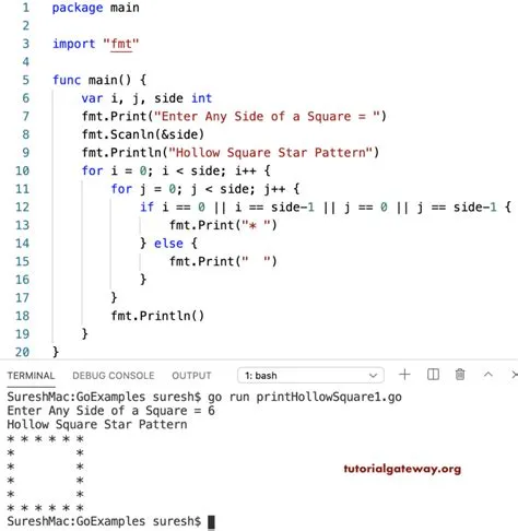 Go Program to Print Hollow Square Star Pattern