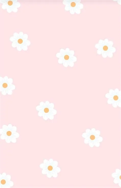 Pink Daisy Background