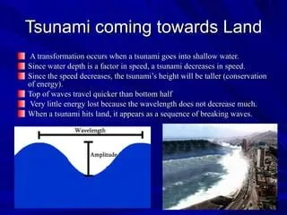 Tsunamis | PPT
