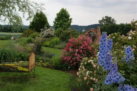 Tipps: Der Garten im August - Ried