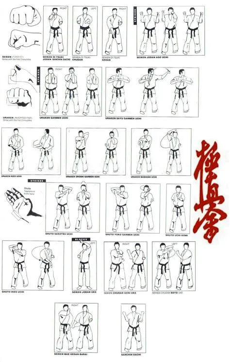 Les techniques kyokushin | École Karaté Laval