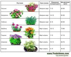 rainy days.. | Hujan, Gambar bergerak, Gambar