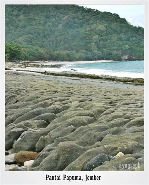 Ada Apa dengan Jember? – ayuavenue