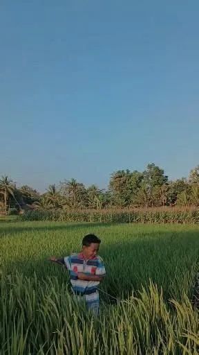 Desktop Backgrounds Ocean - WallpaperSafari