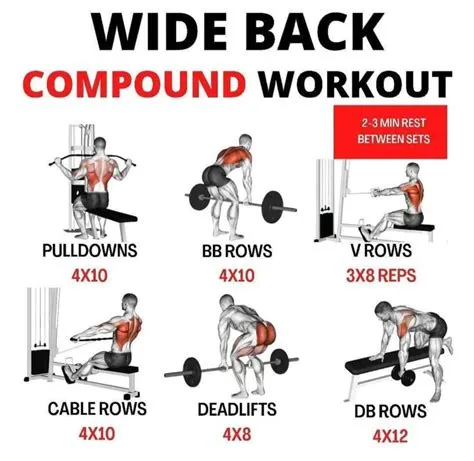 Back Exercises Dumbbell Men | Gym workouts for men, Back exercises ...