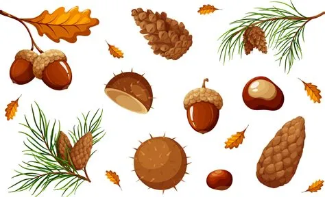 Set of natural elements, acorns, chestnuts, cones, materials for ...
