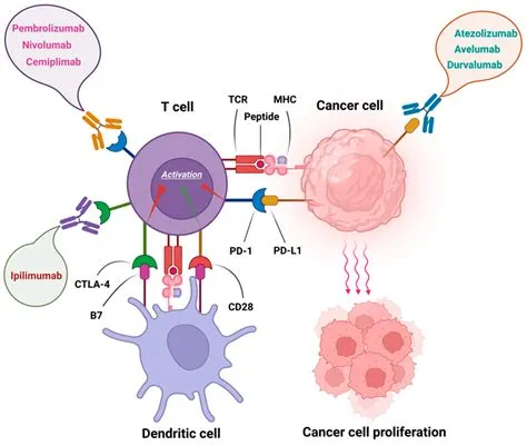 From “Cold” to “Hot” Tumors with Masked Interleukin-12
