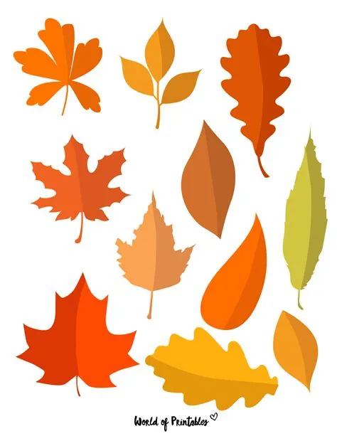 Fall Leaf Template