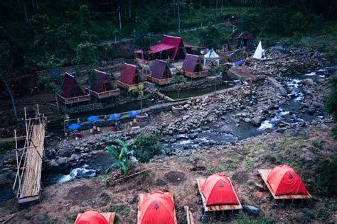 Ăcotourisme de Jember : Plantez des arbres, dĂ©gustez du cafĂ© local ...