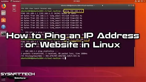 How to Ping an IP Address or Website in Linux Operating Systems ...