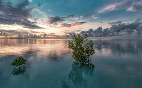 Panduan Wisata Kota Jember: 7 Tempat Paling Menarik untuk Dikunjungi ...