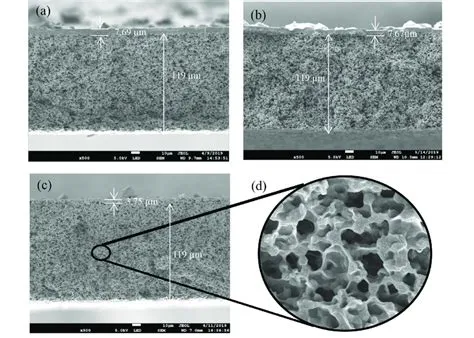 FESEM images representing cross section morphology of (a)... | Download ...