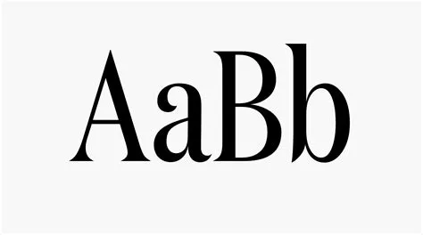 Miranda – Paper Portfolio - Awwwards SOTD