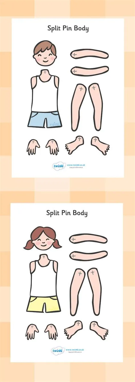Twinkl Resources >> Split Pin Bodies >> Classroom printables for Pre ...