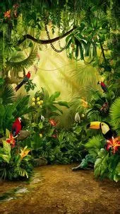 Multi Color Potrait Studio Background HD (PSDSTAR.COM) : D38