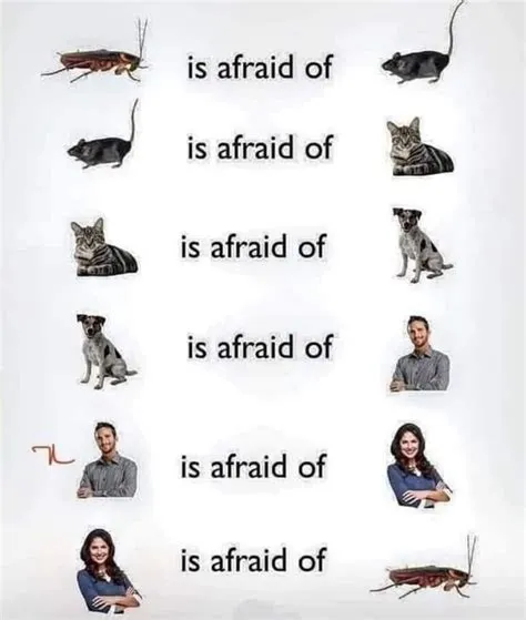 Man is afraid of woman : r/terriblefacebookmemes