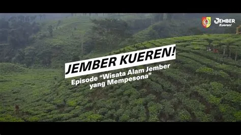Wisata Alam Jember yang Mempesona I Jember Kueren! - YouTube