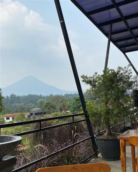Sekar Cafe Pacet Lokasi, Harga Menu Terbaru dan Jam Buka