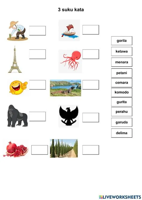 3 suku kata interactive worksheet | Worksheets, Preschool learning ...