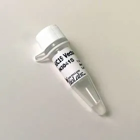 pUC19 Vector, New England Biolabs | Vectors, Plasmids and Libraries