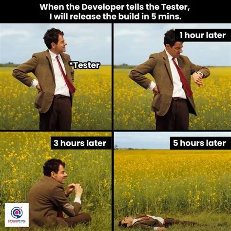 😅Tester VS Developer🤣 | Software development humor, Programmer humor ...