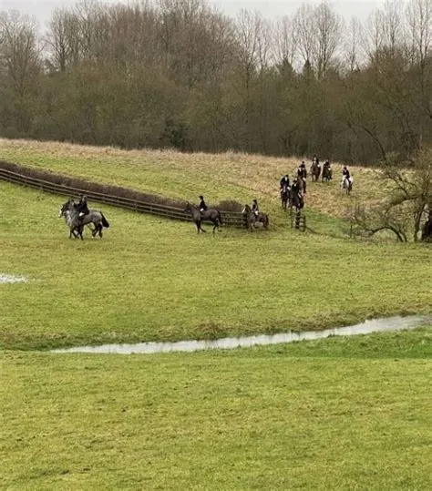 ปักพินโดย mora ใน Pins creados por ti