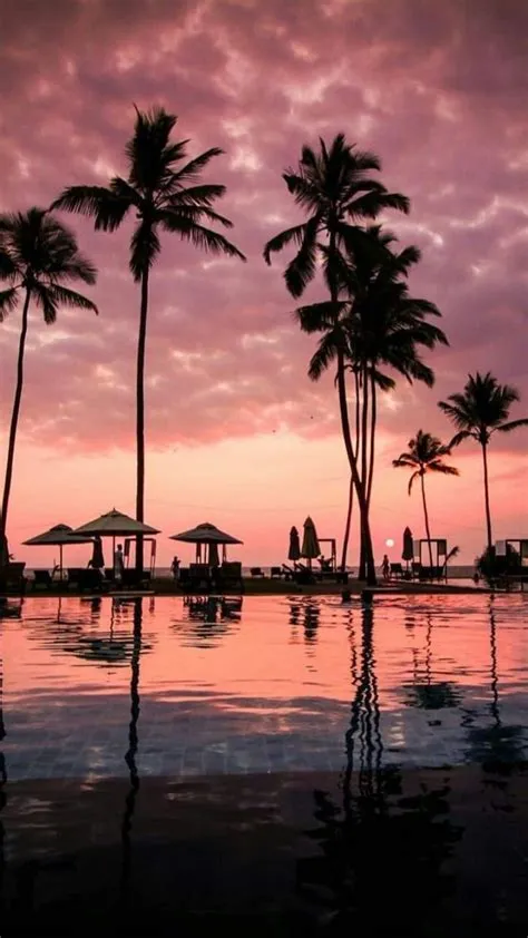 Cute Sunset Wallpapers - 4k, HD Cute Sunset Backgrounds on WallpaperBat