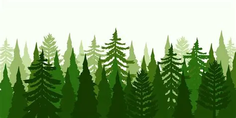 pine trees forest silhouette nature landscape background 10826173 ...