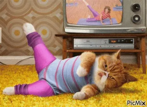 Cat Exercise GIF - Cat Exercise - Discover & Share GIFs | Cat exercise ...