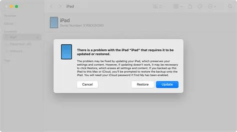 Hvis din iPad ikke kan tændes eller er frossen - Apple-support (DK)