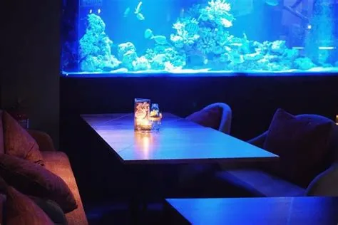 The Social, Empire Subang, Subang Jaya - Restaurant Reviews, Phone ...