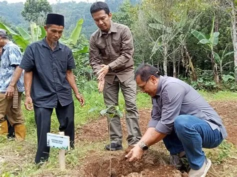 Peringati Hari Bumi, Ratusan Pohon Kopi Ditanam di Lereng Gunung Karang ...