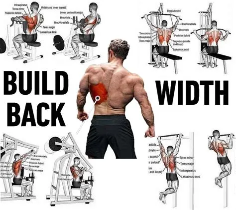 Back exercises