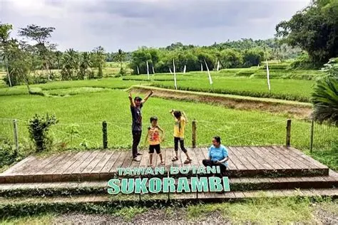Taman Wisata Alam Seluas 13 Ha, Hanya 10 Menit dari Pusat Kota Jember ...