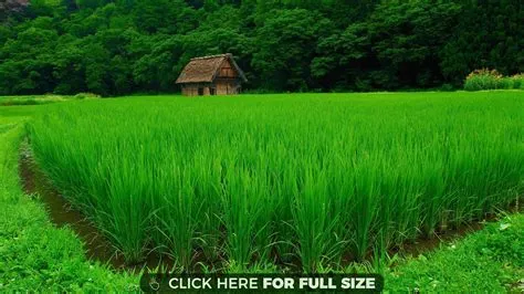 Free photo: Greenery - Bright, Green, Landscape - Free Download - Jooinn
